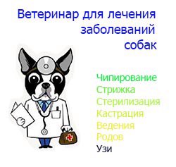 Заболела собака,чипирование,стрижка