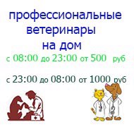 Профессиональные ветврачи на дом